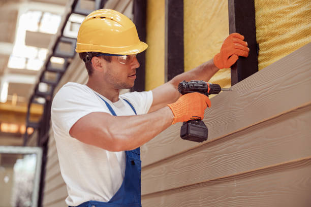 Best Fascia and Soffit Installation  in Wilber, NE