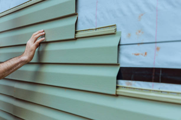 Best Vinyl Siding Installation  in Wilber, NE